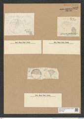 Actinocyclus australis Grun. (de-Toni-Nr.: Genus 195, Species 4759) Zeichnungen Sammlung Grunow Nr. 8395 (NHMW-BOT-W0377829)